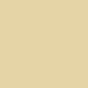 VYCOM DESIGNBOARD Sandshadde