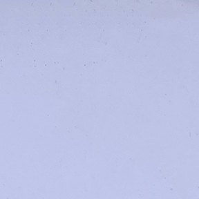 VYCOM CORRTEC Vintec Clear